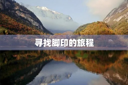 寻找脚印的旅程