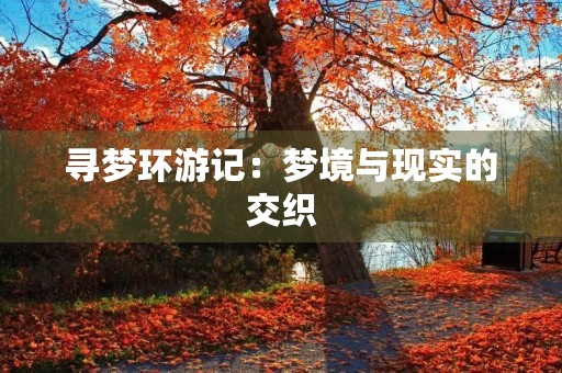 寻梦环游记：梦境与现实的交织