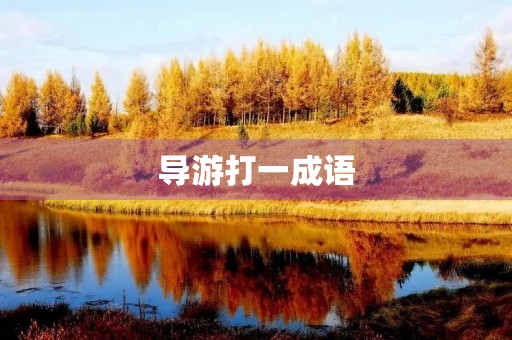 导游打一成语 导游打一成语
