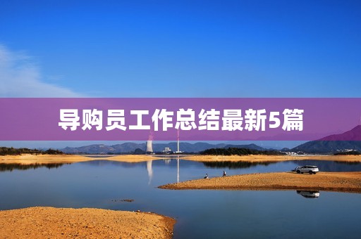 导购员工作总结最新5篇