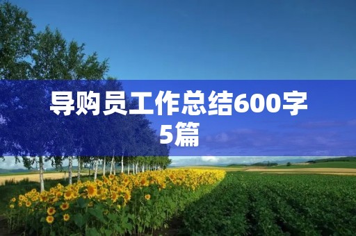 导购员工作总结600字5篇