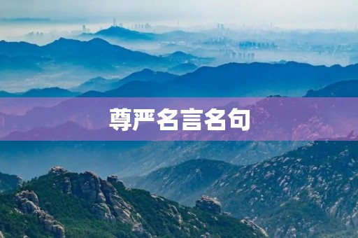尊严名言名句(尊严名言名句经典摘抄)