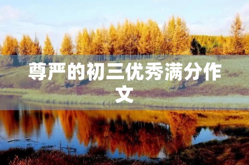尊严的初三优秀满分作文