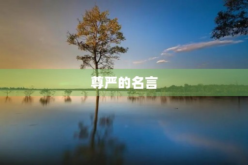 尊严的名言，维护国家尊严的名言