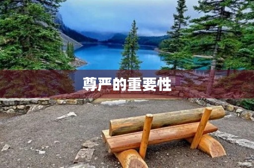 尊严的重要性