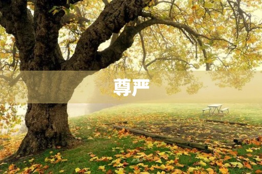 尊严，一种不可或缺的人性价值