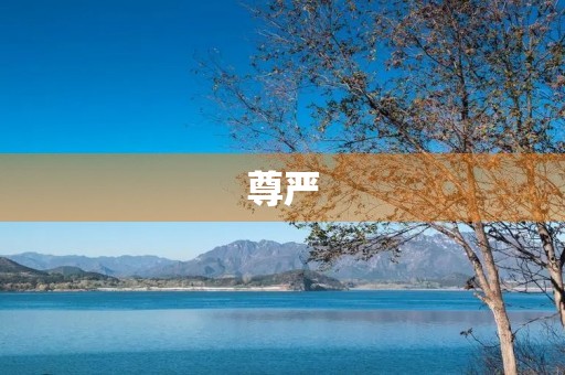 尊严，是人类最基本的情感需求。它是一个人的自我价值和存在感的体现，是一个人与生俱来的权利和尊重。然而，在现实生活中，我们常常会遇到各种侵犯我们尊严的行为，如歧视、欺凌、侮辱等，这些行为不仅会伤害我们的心灵，也会影响我们的人际关系和社会形象。因此，保护自己的尊严，成为了我们每个人不可或缺的责任。