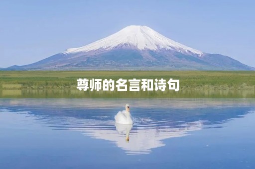 尊师的名言和诗句(尊师的名言和诗句大全)