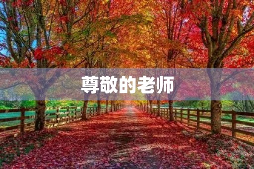 尊敬的老师