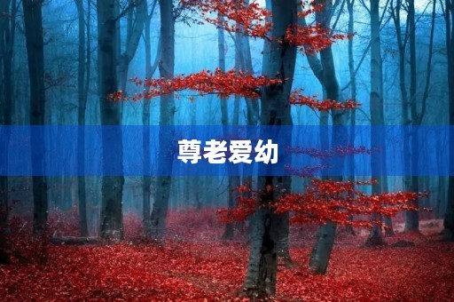 尊老爱幼 尊老爱幼