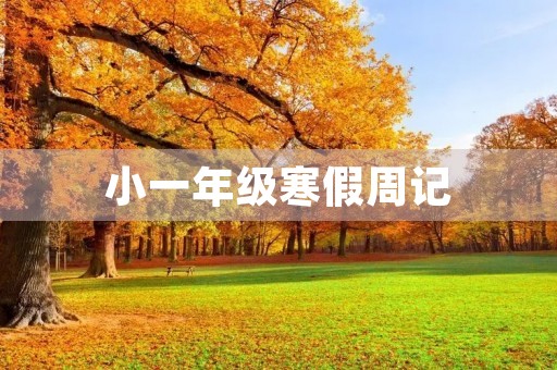 小一年级寒假周记