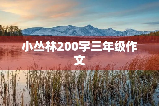 小丛林200字三年级作文 小丛林200字三年级作文