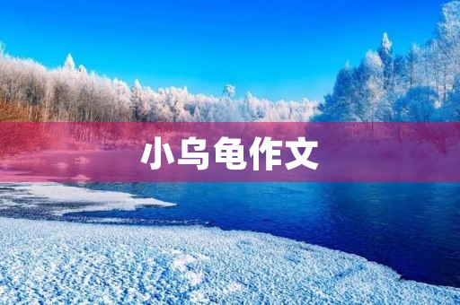 小乌龟作文