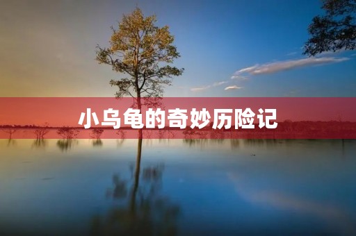 小乌龟的奇妙历险记 小乌龟的奇妙历险记