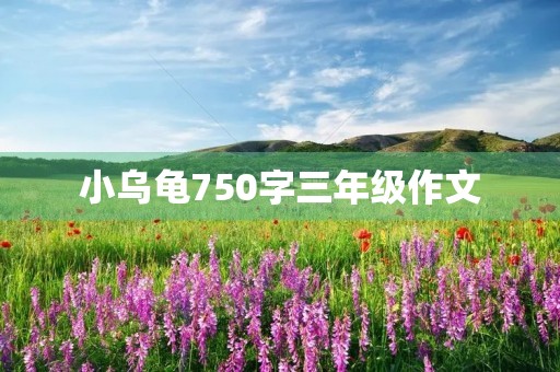 小乌龟750字三年级作文 小乌龟750字三年级作文