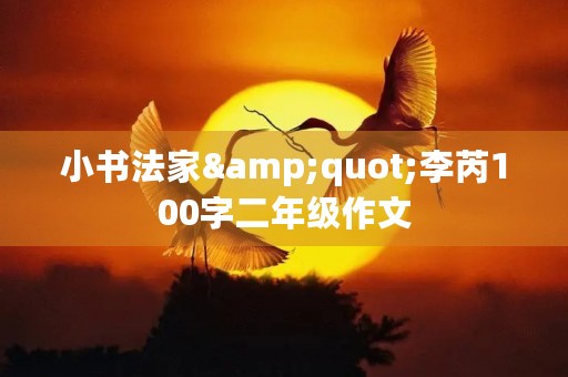 小书法家"李芮100字二年级作文