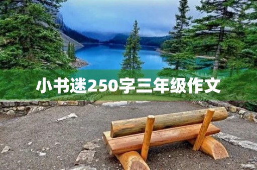 小书迷250字三年级作文