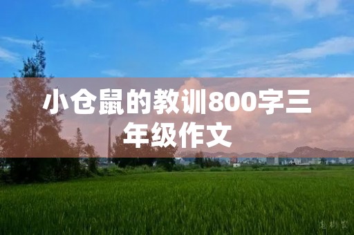 小仓鼠的教训800字三年级作文