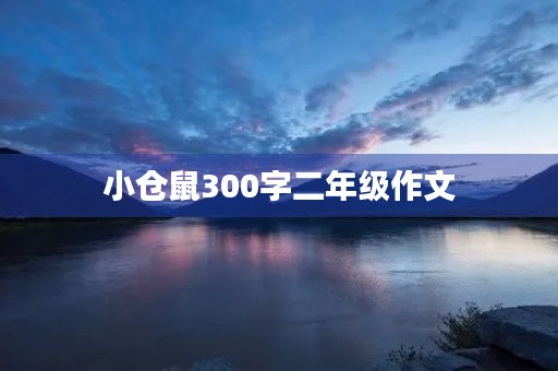 小仓鼠300字二年级作文
