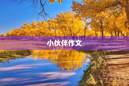 小伙伴作文