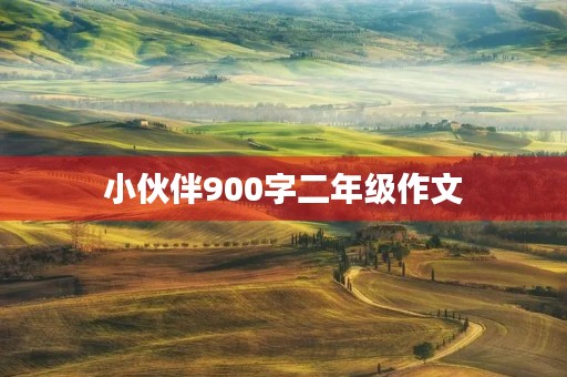 小伙伴900字二年级作文