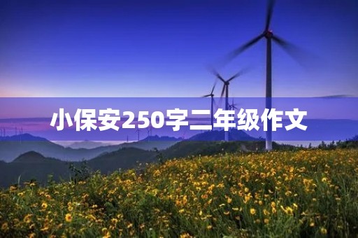 小保安250字二年级作文
