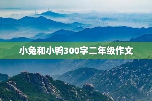 小兔和小鸭300字二年级作文