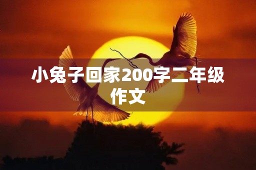小兔子回家200字二年级作文 小兔子回家200字二年级作文