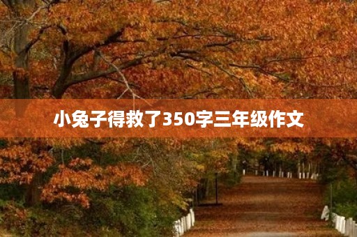 小兔子得救了350字三年级作文