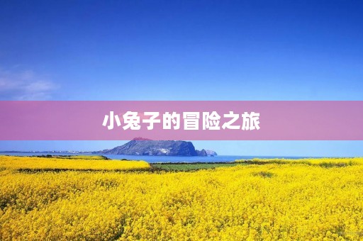 小兔子的冒险之旅