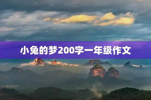 小兔的梦200字一年级作文