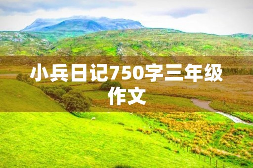 小兵日记750字三年级作文