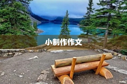 小制作作文
