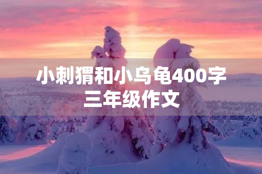 小刺猬和小乌龟400字三年级作文