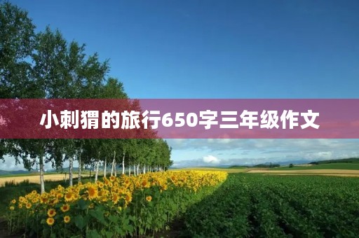 小刺猬的旅行650字三年级作文 小刺猬的旅行650字三年级作文