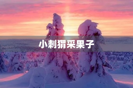 小刺猬采果子