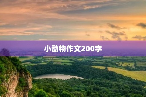 小动物作文200字 小动物作文200字