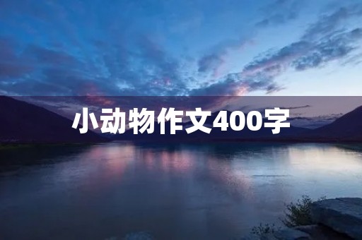 小动物作文400字 小动物作文400字