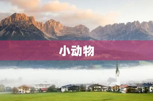 小动物，不容忽视的生命