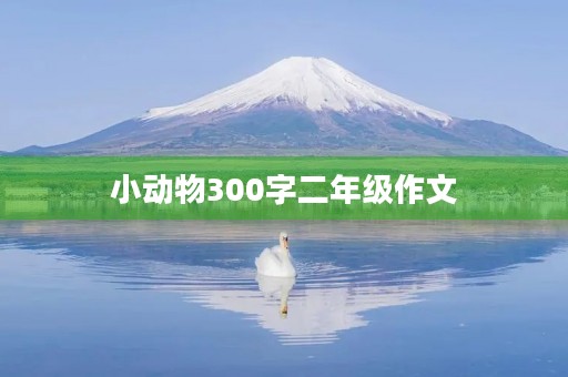 小动物300字二年级作文