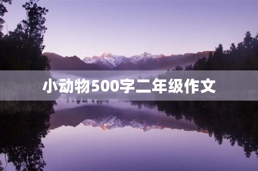 小动物500字二年级作文