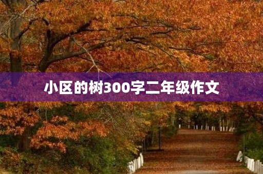 小区的树300字二年级作文 小区的树300字二年级作文