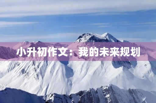 小升初作文：我的未来规划