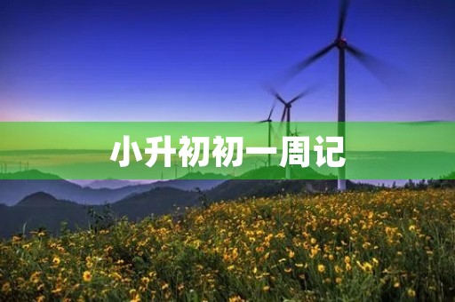 小升初初一周记 小升初初一周记
