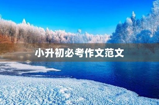 小升初必考作文范文