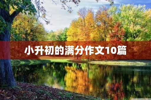 小升初的满分作文10篇