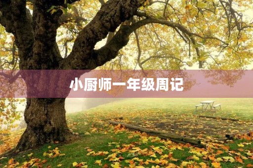 小厨师一年级周记 小厨师一年级周记