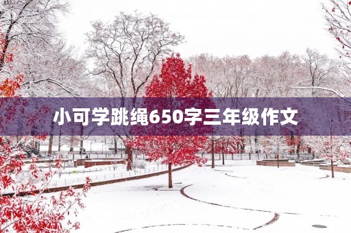 小可学跳绳650字三年级作文