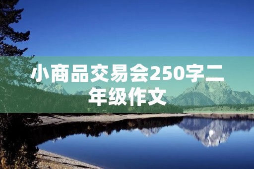 小商品交易会250字二年级作文