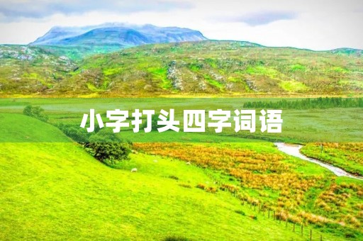 小字打头四字词语